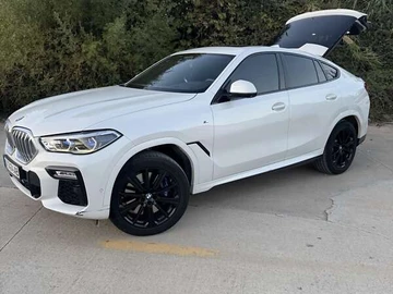 Авто BMW X6 2020 № 8383019