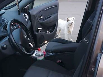 Авто Renault Megane 2013 № 8384115