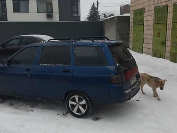 Авто ВАЗ 2111 2007 № 8392636