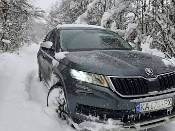 Авто Skoda Kodiaq 2020 № 8402613