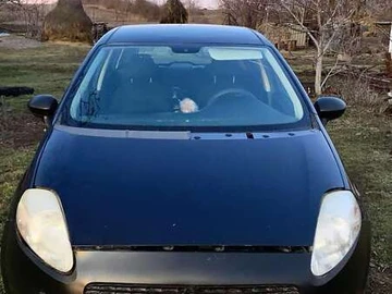 Авто Fiat Punto 2009 № 8443231