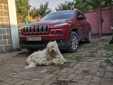 Авто Jeep Cherokee 2013 № 8454168