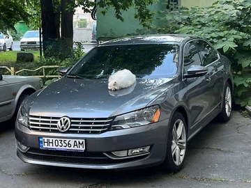 Авто Volkswagen Passat 2013 № 8461117