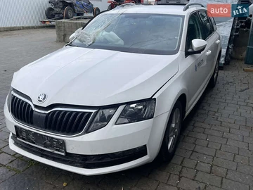 Авто Skoda Octavia 2019 № 8462928