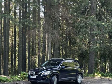 Авто Volkswagen Tiguan 2010 № 8476275