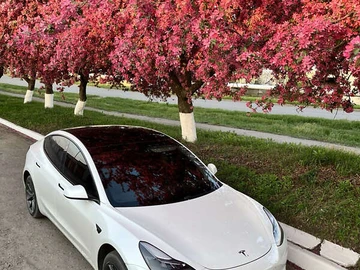 Авто Tesla Model 3 2021 № 8484273