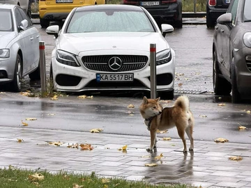 Авто Mercedes C-Class 2017 № 8489920