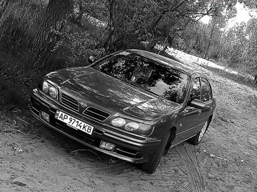 Авто Nissan Maxima 1999 № 8526026