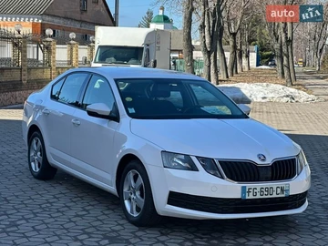 Авто Skoda Octavia 2019 № 8546975