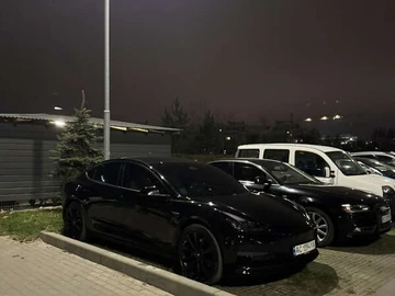 Авто Tesla Model 3 2019 № 8565356