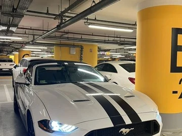 Авто Ford Mustang 2018 № 8567790