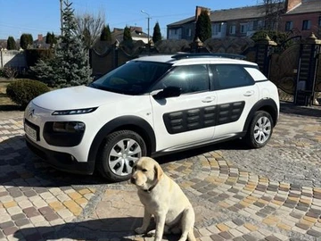 Авто Citroen C4 Cactus 2015 № 8579248