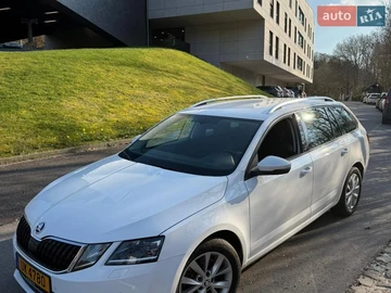 Авто Skoda Octavia 2017 № 8636716