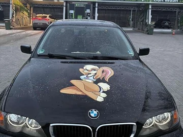 Авто BMW 3 Series 2002 № 8639429