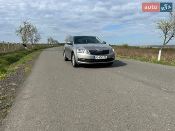 Авто Skoda Octavia 2019 № 8654335