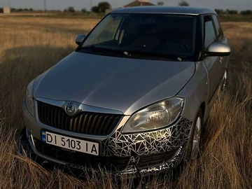 Авто Skoda Fabia 2011 № 8657283