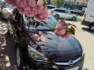 Авто Opel Astra 2013 № 8662454