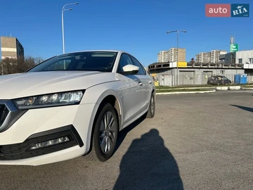 Авто Skoda Octavia 2020 № 8665121