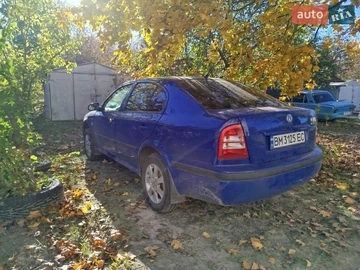 Авто Skoda Octavia 2002 № 8679354