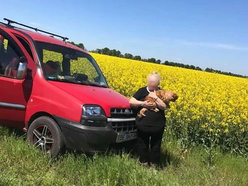 Авто Fiat Doblo 2004 № 8688634