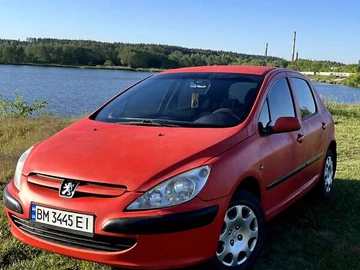 Авто Peugeot 307 2002 № 8689826