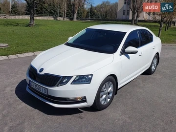 Авто Skoda Octavia 2019 № 8702779