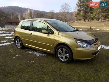 Авто Peugeot 307 2004 № 8752426