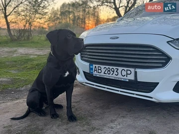 Авто Ford Mondeo 2018 № 8771973