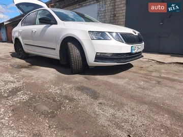 Авто Skoda Octavia 2019 № 8818791
