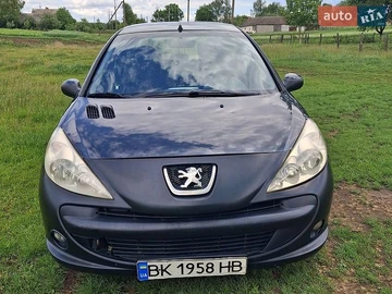 Авто Peugeot 206 Plus 2010 № 8848030