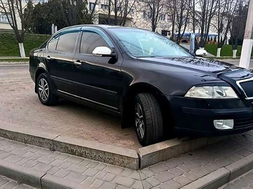 Авто Skoda Octavia 2006 № 8897104
