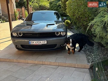 Авто Dodge Challenger 2018 № 8903408