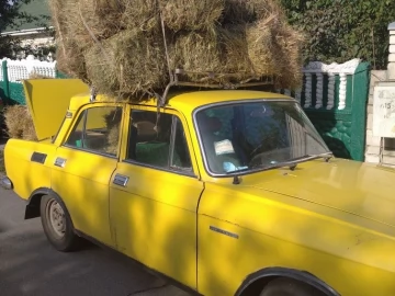 Авто  2140 1978 № 6847635