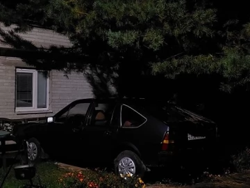 Авто Volkswagen Passat Hatchback 1981 № 6977862
