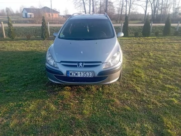 Авто Peugeot 307 2004 № 7081352