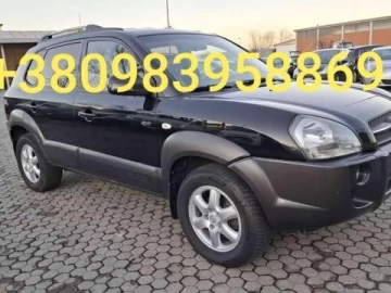 Авто Hyundai Tucson 2004 № 7090084