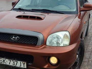 Авто Hyundai Santa Fe 2002 № 7120265