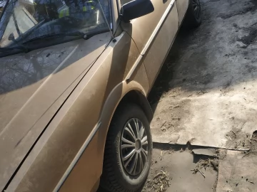 Авто Volkswagen Passat Variant 1981 № 7255627