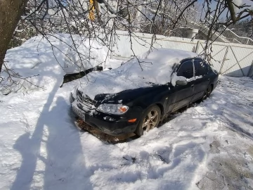 Авто Nissan Maxima 2001 № 7303072
