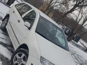 Авто Skoda Fabia 2005 № 7307092