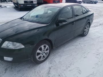 Авто Skoda Octavia 2004 № 7315410