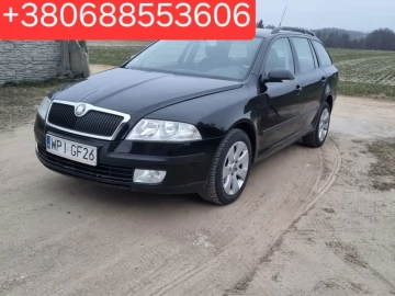 Авто Skoda Octavia 2007 № 7320001