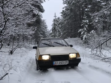 Авто ВАЗ 2109 1989 № 7338606