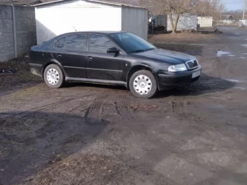 Авто Skoda Octavia 2009 № 7364553
