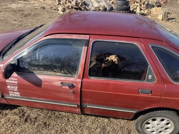 Авто Ford Sierra 1985 № 7373023