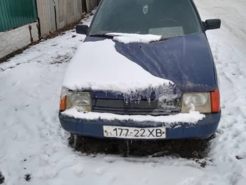 Авто ЗАЗ 1103 Slavuta 2004 № 7374137