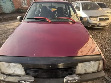 Авто ВАЗ 21099 2005 № 7374580