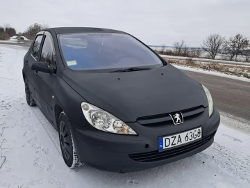 Авто Peugeot 307 2004 № 7380476