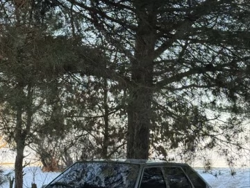 Авто ВАЗ 2109 2005 № 7398008