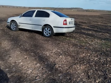 Авто Skoda Octavia 2004 № 7415107